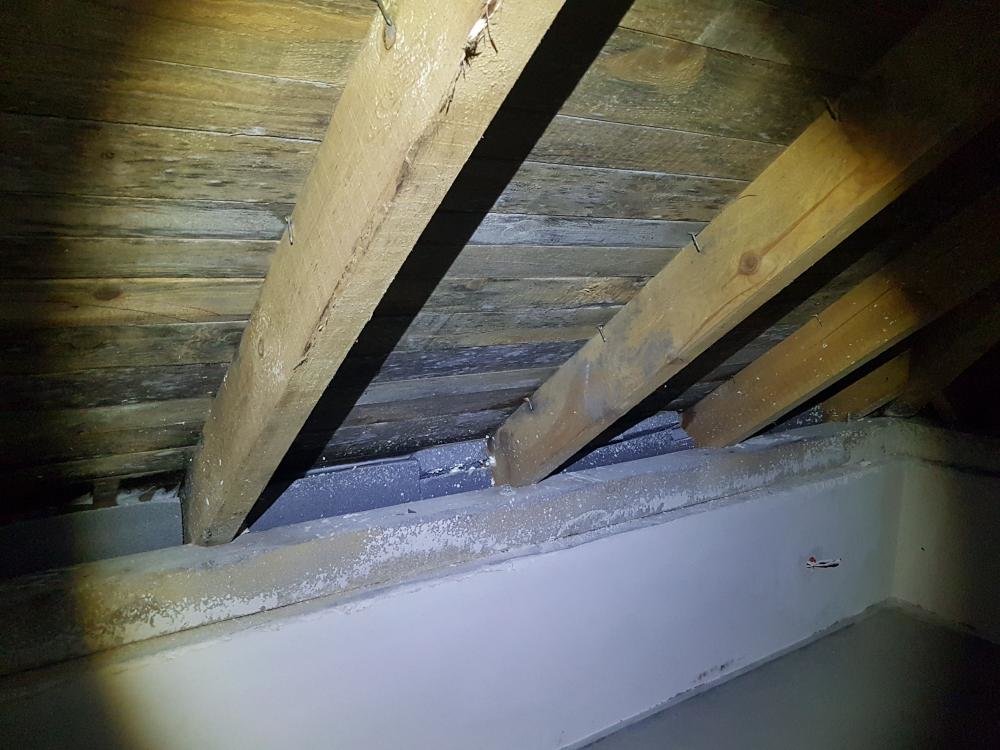 20170110_210224.thumb.jpg.29ce5d7cfe394a