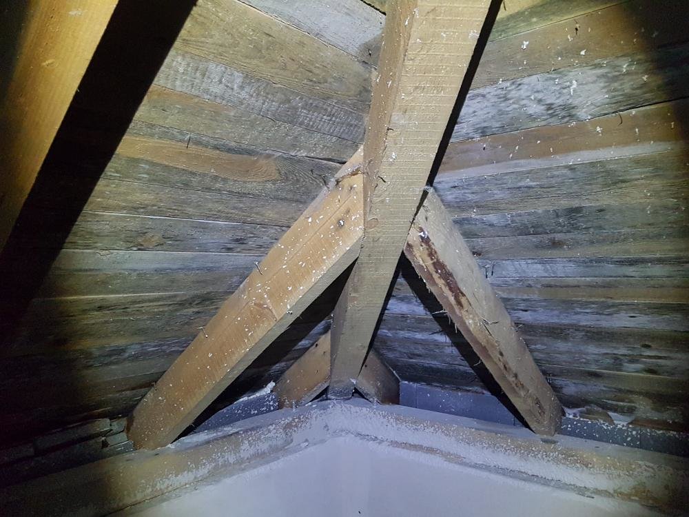 20170110_210231.thumb.jpg.aad4853a1defd6