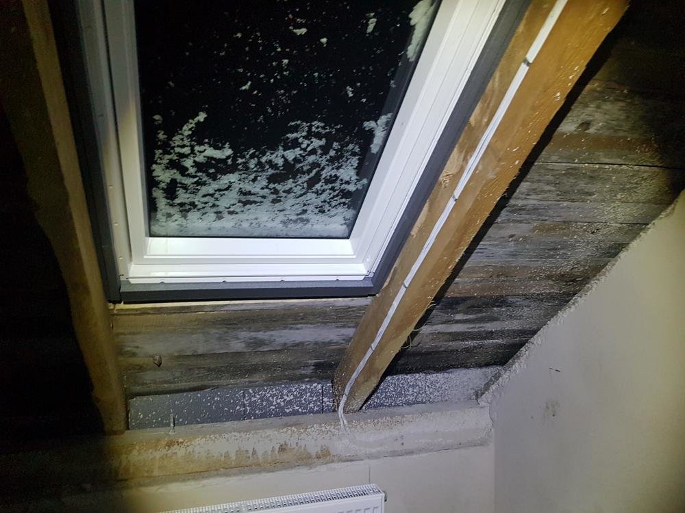 20170110_210236.thumb.jpg.a153183ccf7ec1