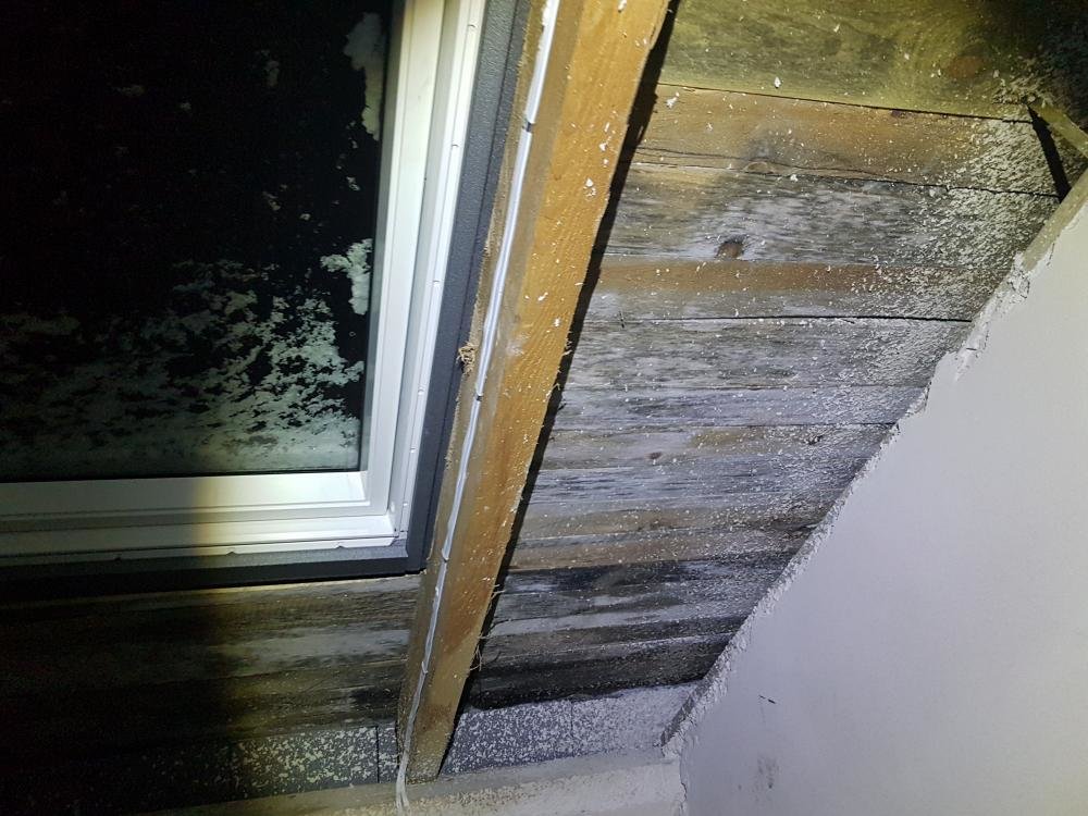 20170110_210240.thumb.jpg.718bdb2e7baa1e