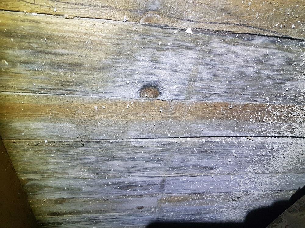 20170110_210257.thumb.jpg.478841f4a865bb