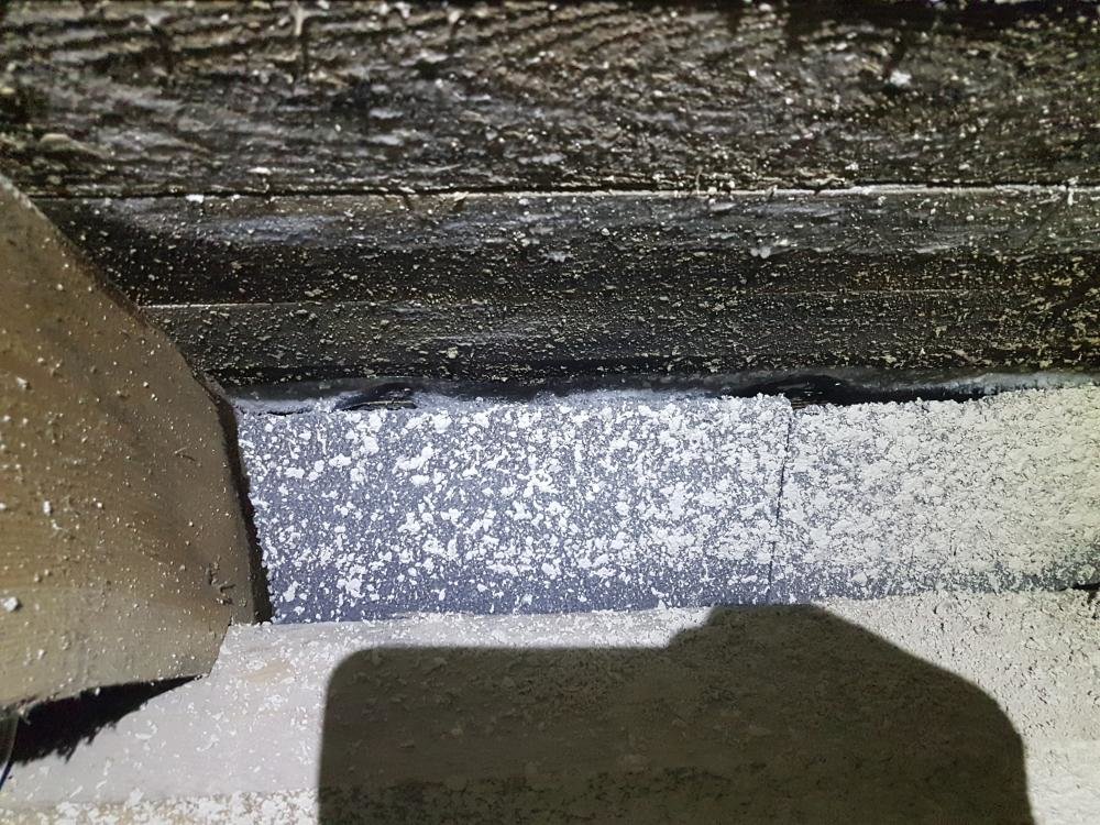 20170110_210317.thumb.jpg.f88cabfde4830b