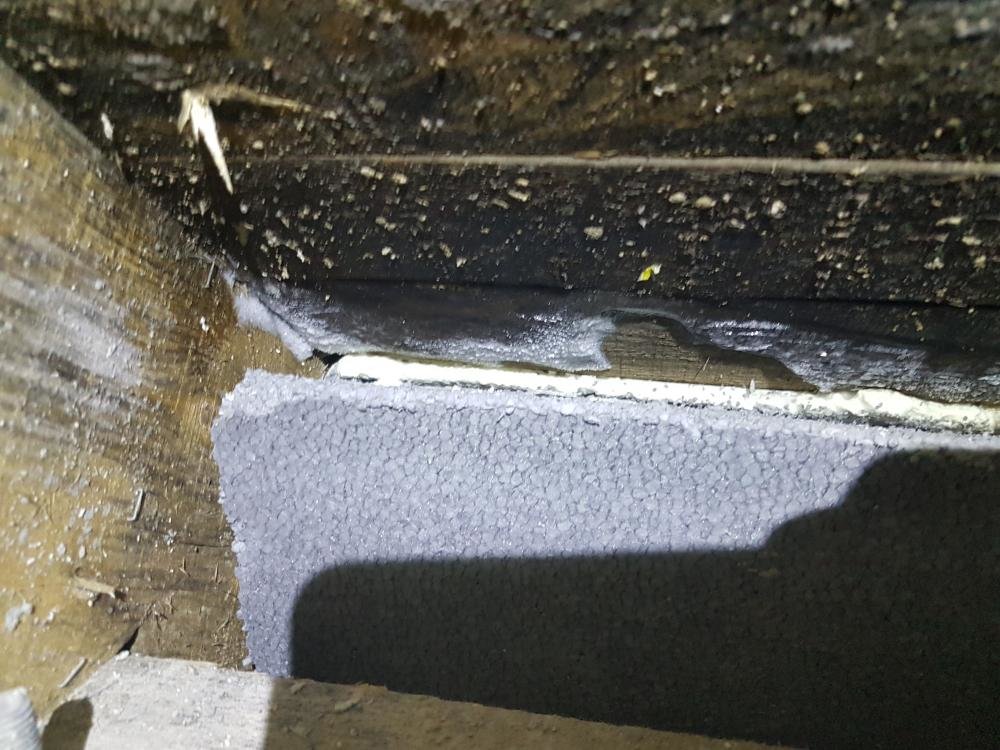 20170110_210331.thumb.jpg.fd0f5bfc29fd10