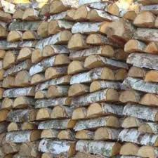 images?q=tbn:ANd9GcTKF4Bt-bmxa5Wpe4xSfmb