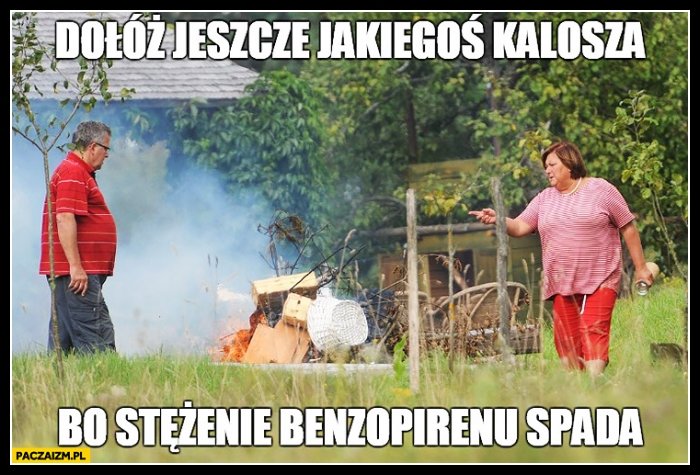 doloz_jeszcze_jakiegos_kalosza_bo_2017-0