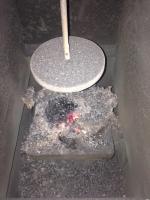 post-75672-0-27317900-1510336997_thumb.j