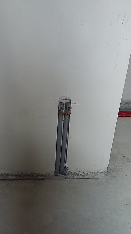 2018-05-12 11.24.01.jpg