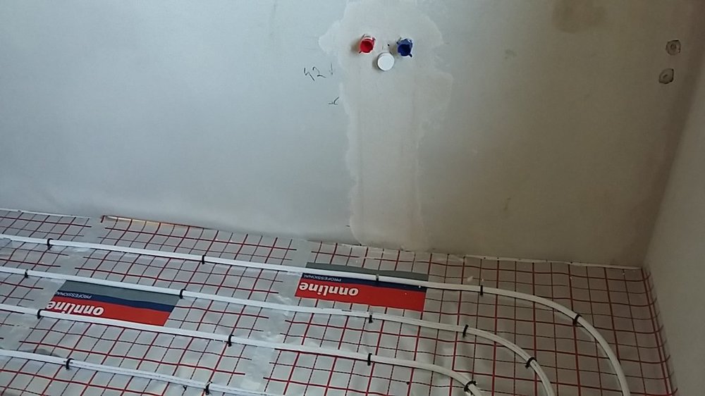 2018-05-23 12.47.35.jpg