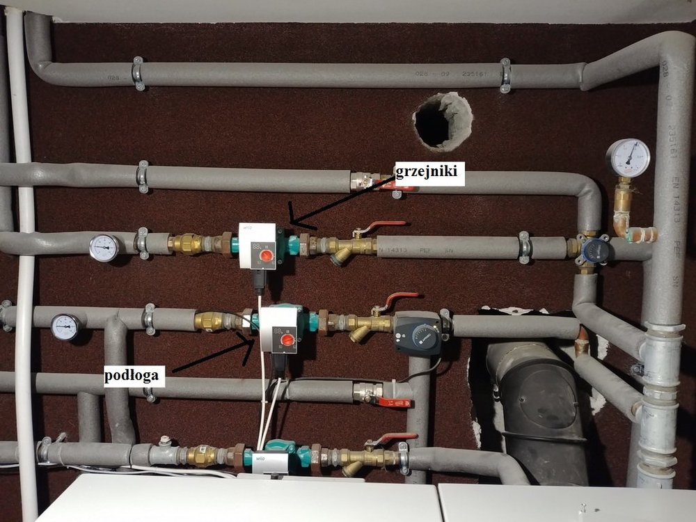 20190108_170519_resize - Kopia.jpg