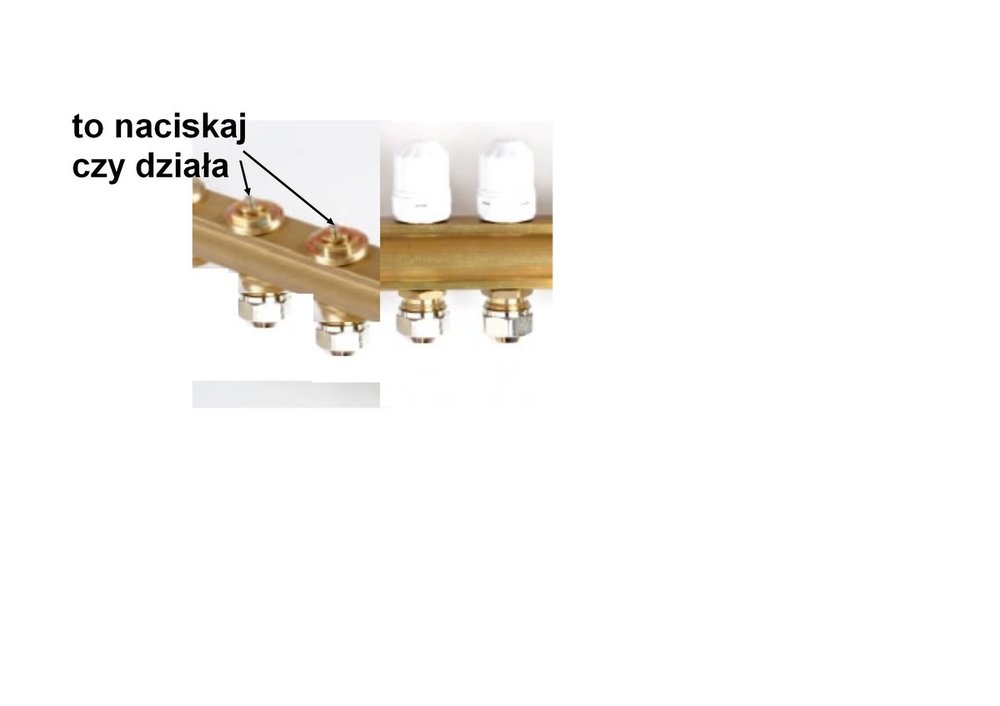 plemie101 zawory belki.jpg