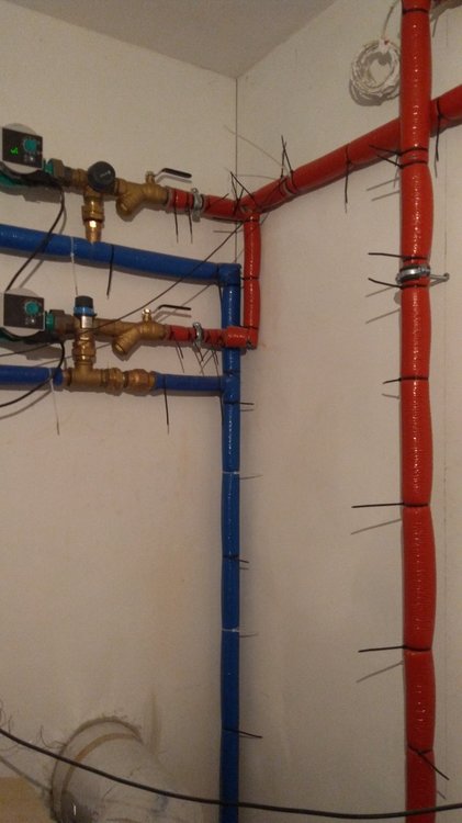 Termoregulator i 3D.jpg