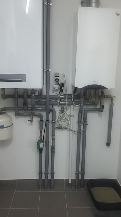 2019-12-15 15.18.30.jpg