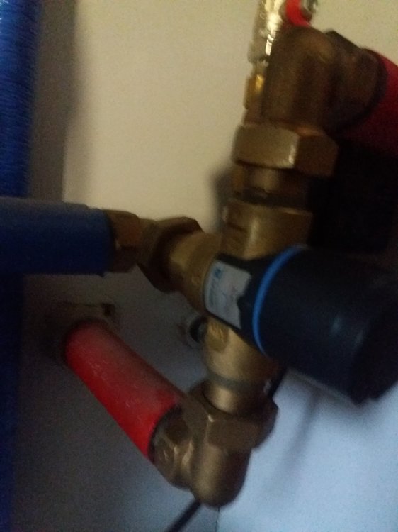 2020-01-06 09.29.56.jpg