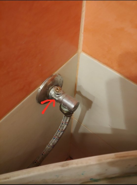 Screenshot_20200317-204726_Kiwi Browser.jpg