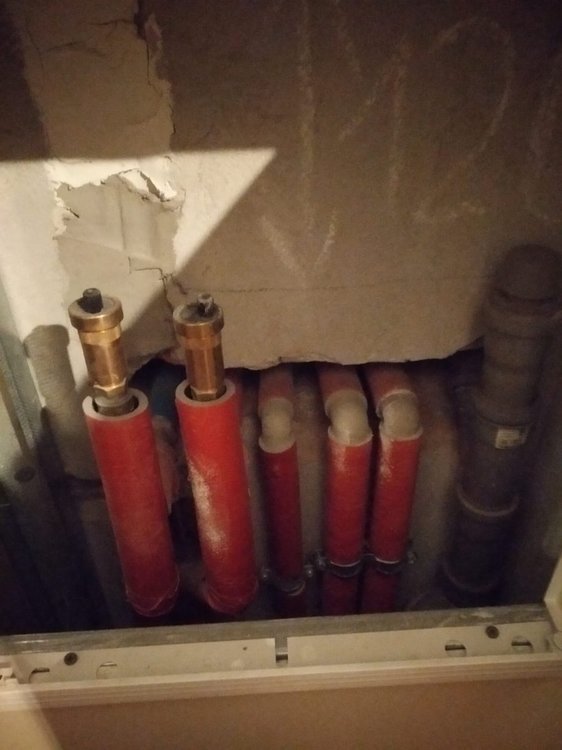 WhatsApp Image 2020-10-16 at 18.24.54.jpeg