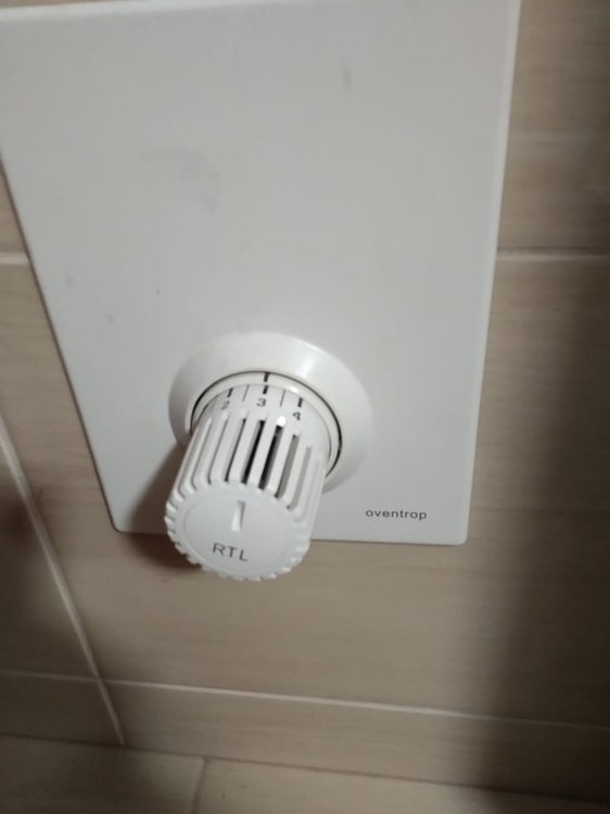 WhatsApp Image 2020-10-16 at 18.24.53.jpeg