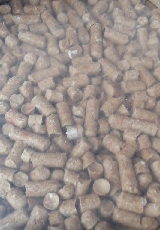 pellet Torzym Gubin Międzyrzecz.jpg