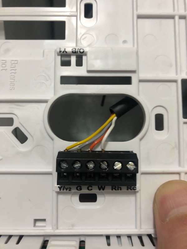 image4 (Kopiowanie).jpeg