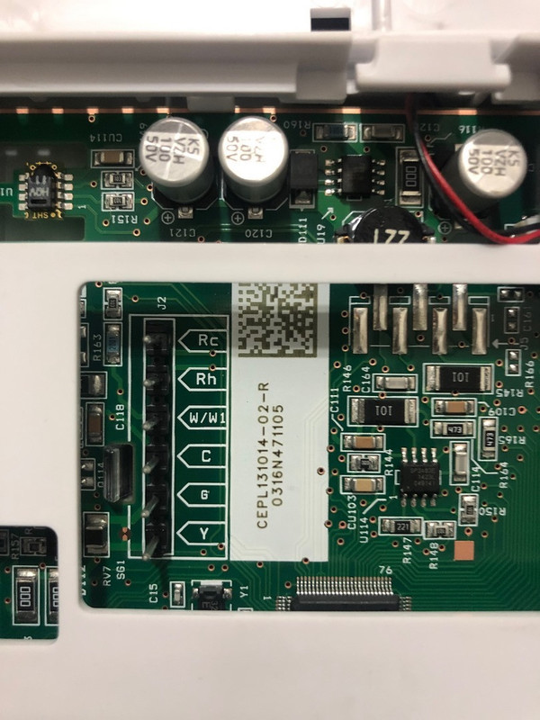 image3 (Kopiowanie).jpeg