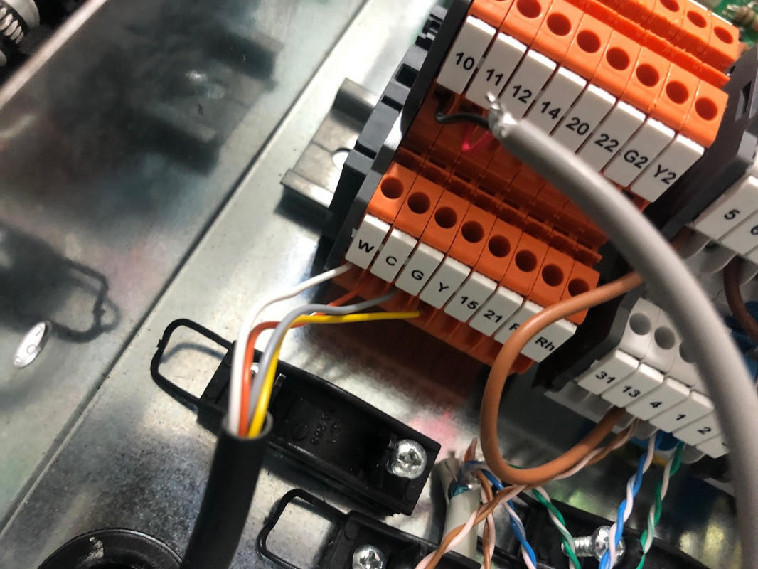 image2 (Kopiowanie).jpeg