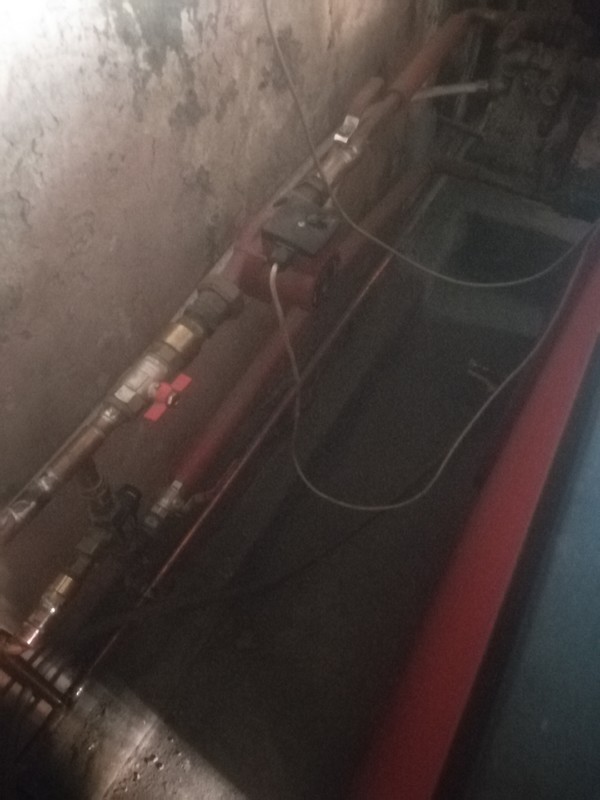 IMG_20220103_093011 (1).jpg