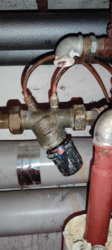 308339361_466412752213839_616238460738531742_n (1).jpg