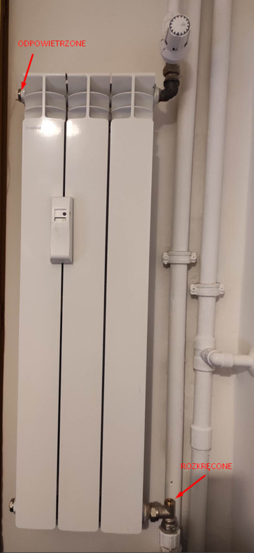 image.thumb.png.e6d690db508cffd35bdeaf082cc79636.png