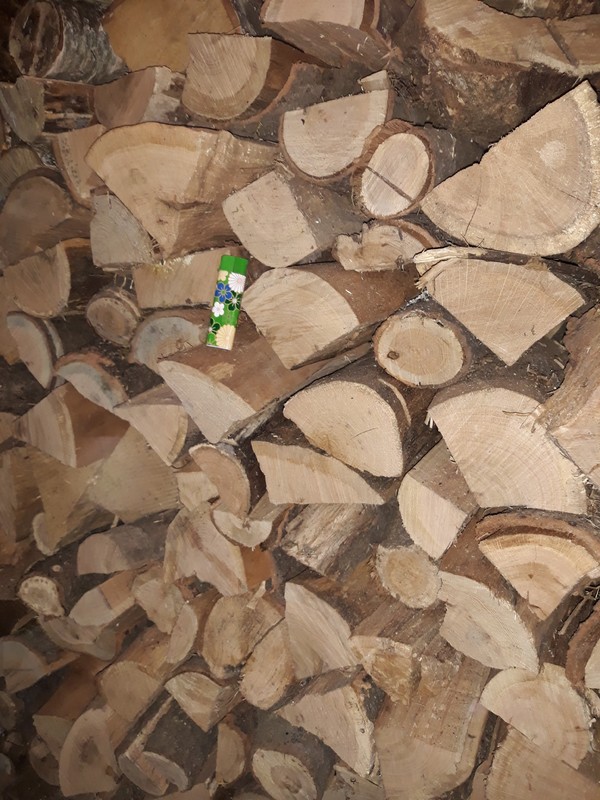 20240220_161253 (1).jpg