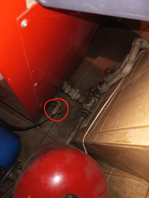 IMG20240202171433.jpg