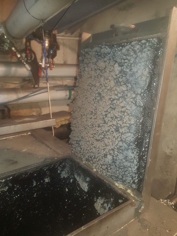 WhatsApp Image 2024-02-14 at 15.50.16.jpeg