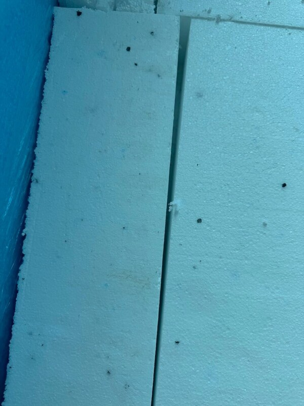 IMG_0545.jpeg