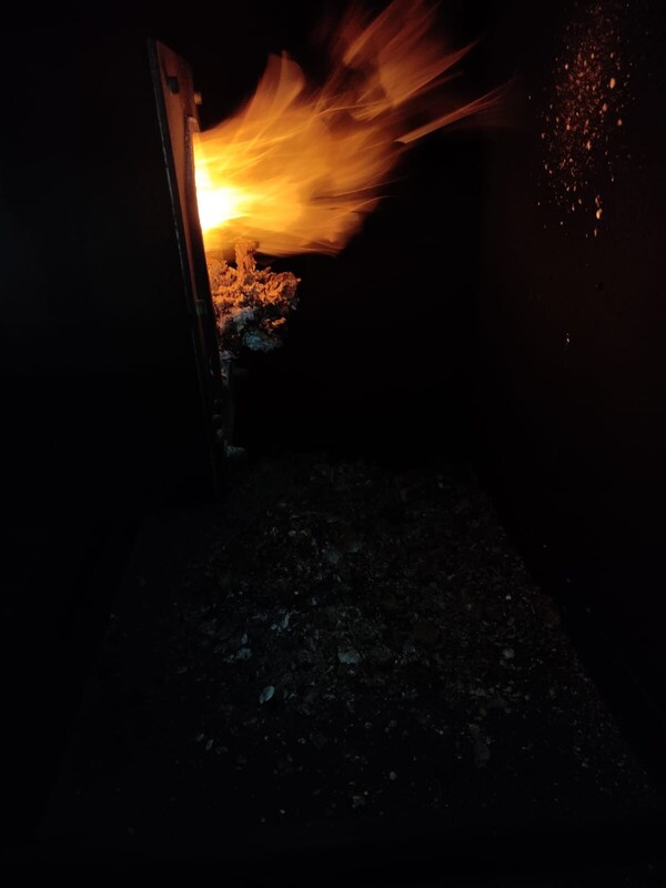 WhatsApp Image 2024-10-09 at 21.30.00.jpeg